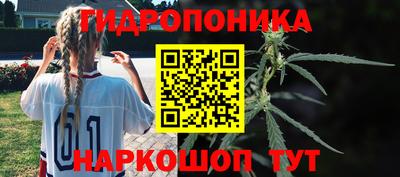 ECSTASY Заволжье
